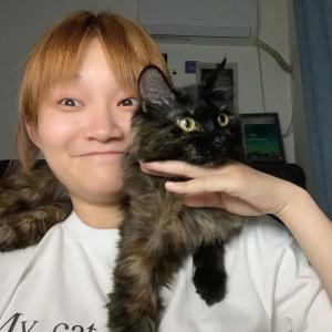Chen XING