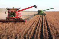Common Prosperity for Rural China: How the Rural-Urban Divide Threatens China’s Rise (Scott Rozelle, Stanford University)
