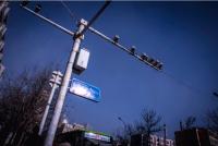 Terror Capitalism: Producing the "Terrorist-Worker" in Northwest China (Darren Byler, Simon Fraser University, Canada)